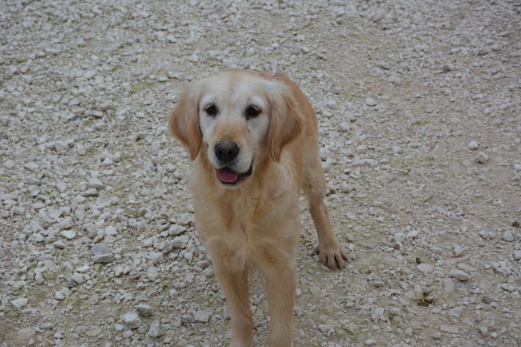 Peytone du Domaine D'Eily